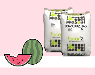 Bicar Z - Sodium bicarbonate giúp nâng kiềm ao nuôi