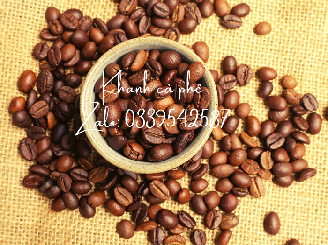 cung cấp cà phê nguyên chất giá sỉ tại Vũng Tàu