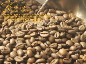 chuyen cung cấp cà phê nguyên chất cho đại lý kinh doanh tại Thủ Dầu Một-Bình Dương