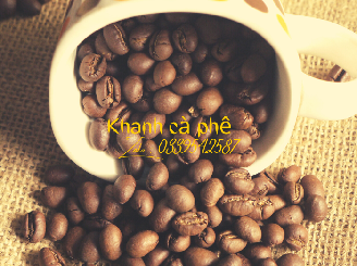 cà phê hạt rang xay nguyên chất,phân phối giá sỉ tại Cà Mau