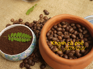 cung cấp cafe nguyên chất đạt chuẩn xuất khẩu tại Cà Mau cho quán kinh doanh