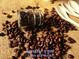 cung cấp cà phê nguyên chất Tây Ninh giá sỉ 1 năm không đổi