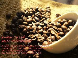 cung cấp cà phê hạt rang mộc nguyên chất tại Tây Ninh với giá sỉ 12 tháng không đổi