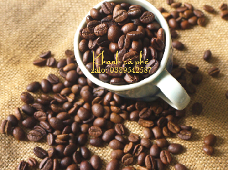cung cấp cà phê nguyên chất Cà Mau,giá sỉ ổn định 12 tháng