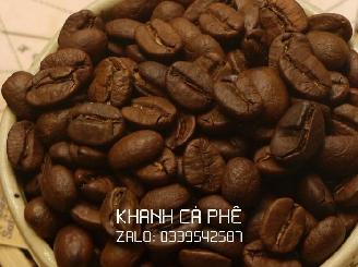 cà phê hạt Robusta nguyên chất giá sỉ từ 90k/kg tại Đồng Nai