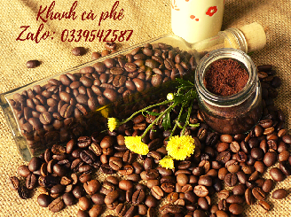 cung cấp cà phê nguyên chất Bình Thuận,giá sỉ ổn định 12 tháng