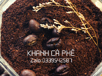 cung cấp cà phê hạt rang mộc nguyên chất tại Bình Định