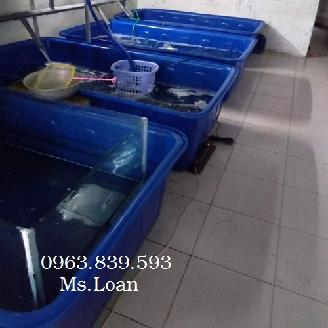 Thùng nuôi cá 1000L hình chữ nhật giảm giá rẻ tại HCM / Lh 0963.839.593 Ms.Loan