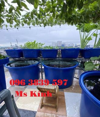 Cung cấp thùng nhựa tròn nuôi cá, chậu nhựa trồng cây, trồng rau- 096 3839 597 Ms Kính